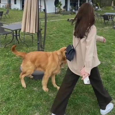 小秘密