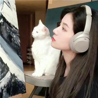 大猫竞技